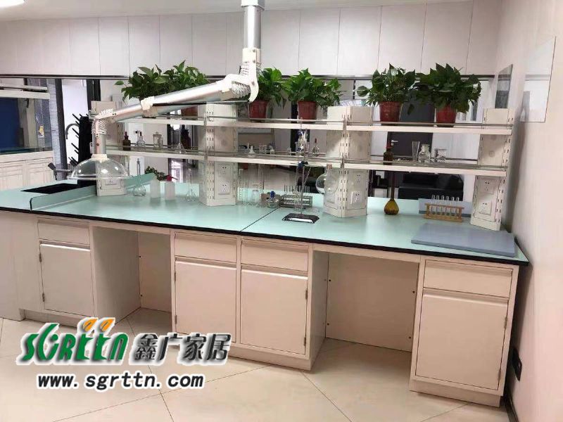化驗室pp操作臺，實驗臺鋼木化學試驗桌，工作臺學校通風柜，全鋼試驗臺